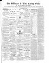 Skibbereen & West Carbery Eagle; or, South Western Advertiser Saturday 19 January 1867 Page 1