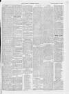 Skibbereen & West Carbery Eagle; or, South Western Advertiser Saturday 21 March 1868 Page 2