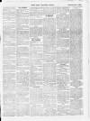 Skibbereen & West Carbery Eagle; or, South Western Advertiser Saturday 02 January 1869 Page 3