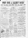 Skibbereen & West Carbery Eagle; or, South Western Advertiser Saturday 17 April 1869 Page 1