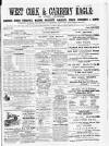 Skibbereen & West Carbery Eagle; or, South Western Advertiser Saturday 01 May 1869 Page 1
