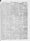 Skibbereen & West Carbery Eagle; or, South Western Advertiser Saturday 28 August 1869 Page 3