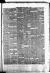 Waterford Chronicle Friday 19 January 1872 Page 3