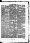 Waterford Chronicle Friday 08 March 1872 Page 3