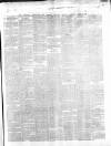 Tipperary Vindicator Tuesday 22 June 1869 Page 3