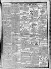 Limerick Chronicle Wednesday 10 January 1827 Page 3
