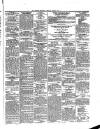 Limerick Chronicle Saturday 19 May 1855 Page 3