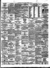 Limerick Chronicle Saturday 07 January 1860 Page 3