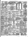 Limerick Chronicle Saturday 14 January 1860 Page 3