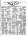 Limerick Chronicle Saturday 19 December 1863 Page 3