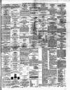 Limerick Chronicle Tuesday 24 January 1865 Page 3