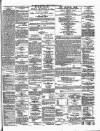 Limerick Chronicle Tuesday 16 May 1865 Page 3