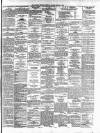 Limerick Chronicle Tuesday 09 January 1866 Page 3