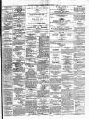 Limerick Chronicle Thursday 08 February 1866 Page 3