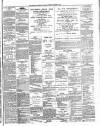 Limerick Chronicle Tuesday 05 November 1867 Page 3