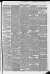 Huddersfield Daily Examiner Friday 11 May 1883 Page 3