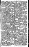 Huddersfield Daily Examiner Saturday 13 January 1894 Page 15