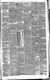Huddersfield Daily Examiner Saturday 30 June 1894 Page 11