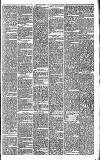Huddersfield Daily Examiner Saturday 15 September 1894 Page 13
