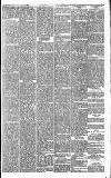 Huddersfield Daily Examiner Saturday 15 September 1894 Page 15