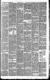 Huddersfield Daily Examiner Saturday 22 September 1894 Page 13