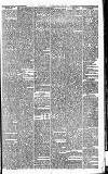 Huddersfield Daily Examiner Saturday 17 November 1894 Page 11