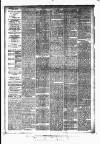 Huddersfield Daily Examiner Thursday 16 April 1896 Page 2