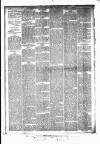 Huddersfield Daily Examiner Thursday 16 April 1896 Page 4