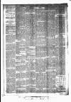 Huddersfield Daily Examiner Friday 17 April 1896 Page 4