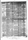 Huddersfield Daily Examiner Thursday 07 May 1896 Page 4