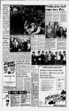 Huddersfield Daily Examiner Monday 31 January 1983 Page 3