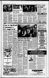 Huddersfield Daily Examiner Tuesday 25 March 1986 Page 3