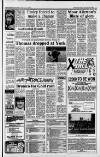 Huddersfield Daily Examiner Friday 12 February 1988 Page 17