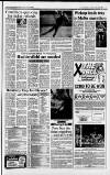 Huddersfield Daily Examiner Tuesday 23 February 1988 Page 13