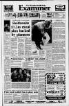 Huddersfield Daily Examiner Tuesday 29 March 1988 Page 1