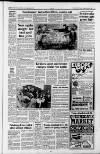 Huddersfield Daily Examiner Tuesday 10 January 1989 Page 3