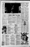 Huddersfield Daily Examiner Wednesday 11 January 1989 Page 15