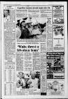 Huddersfield Daily Examiner Wednesday 02 August 1989 Page 7
