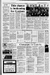 Huddersfield Daily Examiner Tuesday 10 April 1990 Page 17
