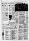 Huddersfield Daily Examiner Friday 23 April 1993 Page 19