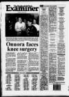 Huddersfield Daily Examiner Saturday 02 April 1994 Page 44