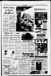 Huddersfield Daily Examiner Thursday 05 January 1995 Page 13