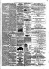 Wrexham Guardian and Denbighshire and Flintshire Advertiser Saturday 07 May 1870 Page 3