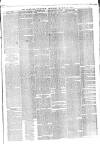 Wrexham Guardian and Denbighshire and Flintshire Advertiser Saturday 11 March 1871 Page 5