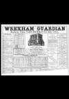 Wrexham Guardian and Denbighshire and Flintshire Advertiser Saturday 10 July 1875 Page 9