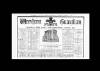 Wrexham Guardian and Denbighshire and Flintshire Advertiser Saturday 03 August 1878 Page 9