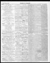Merthyr Telegraph, and General Advertiser for the Iron Districts of South Wales Friday 25 February 1876 Page 2