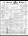 Merthyr Telegraph, and General Advertiser for the Iron Districts of South Wales Friday 22 February 1878 Page 1