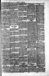 Penarth Chronicle and Cogan Echo Saturday 04 May 1889 Page 5