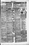 Penarth Chronicle and Cogan Echo Saturday 11 May 1889 Page 3